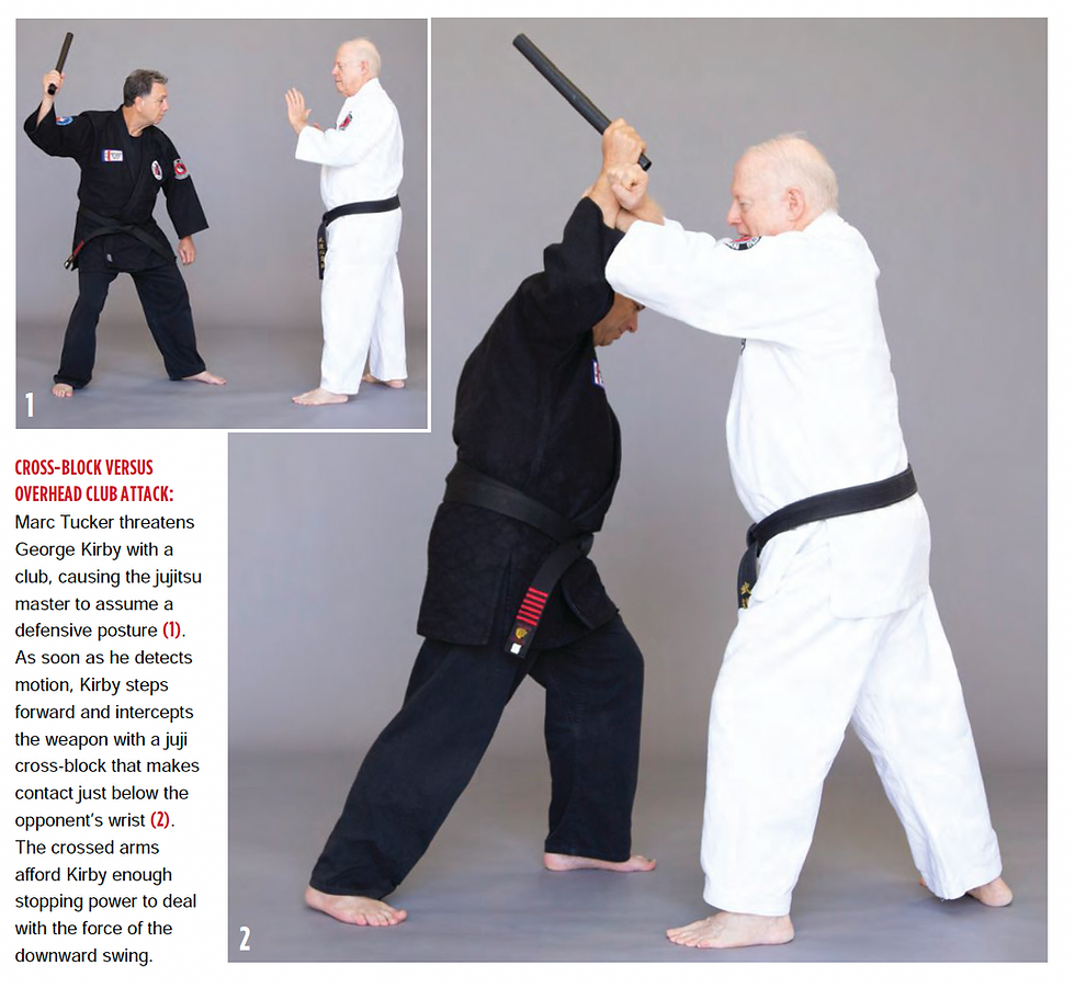 Budoshin Jujitsu Blocking Techniques