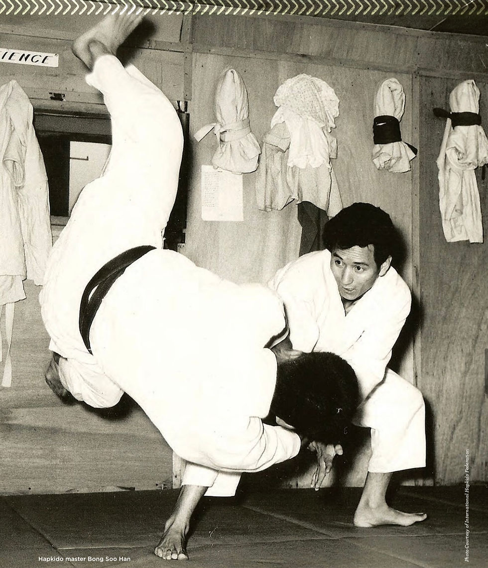 martial arts inspiration