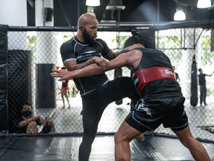 What Martial Arts are in MMA? Asked and Answered