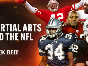 NFL and the Martial Arts: The Dangerous Dozen