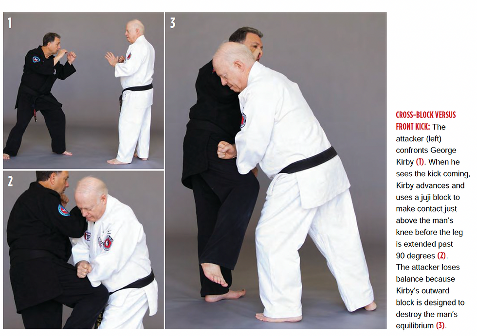 Budoshin Jujitsu Blocking Techniques