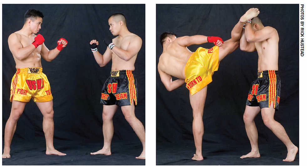 roundhouse kick