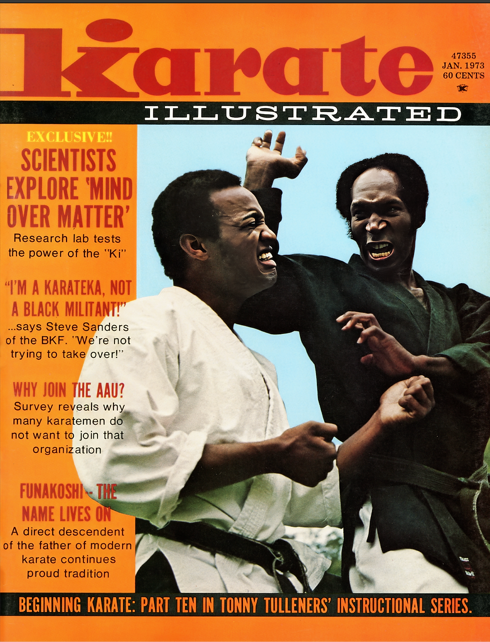 karate illustrated