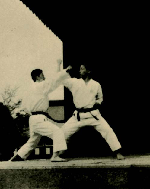 Fumio Demura