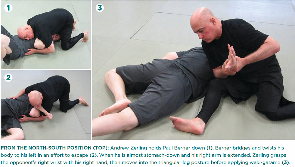 Judo Arm Lock for Brazilian Jiu-Jitsu