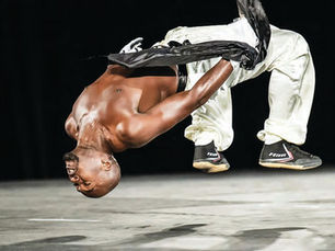 Kung Fu Hip Hop, Da Martial Elements And Marco Johnson