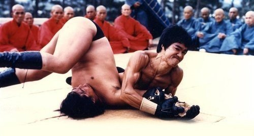 Bruce Lee MMA