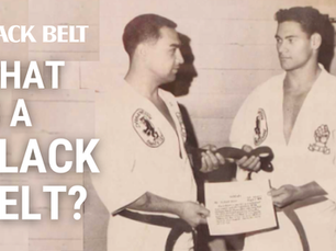What is a Black Belt? 12 of the Most Acclaimed Black Belts Answer!
