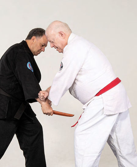 Budoshin Jujitsu Blocking Techniques