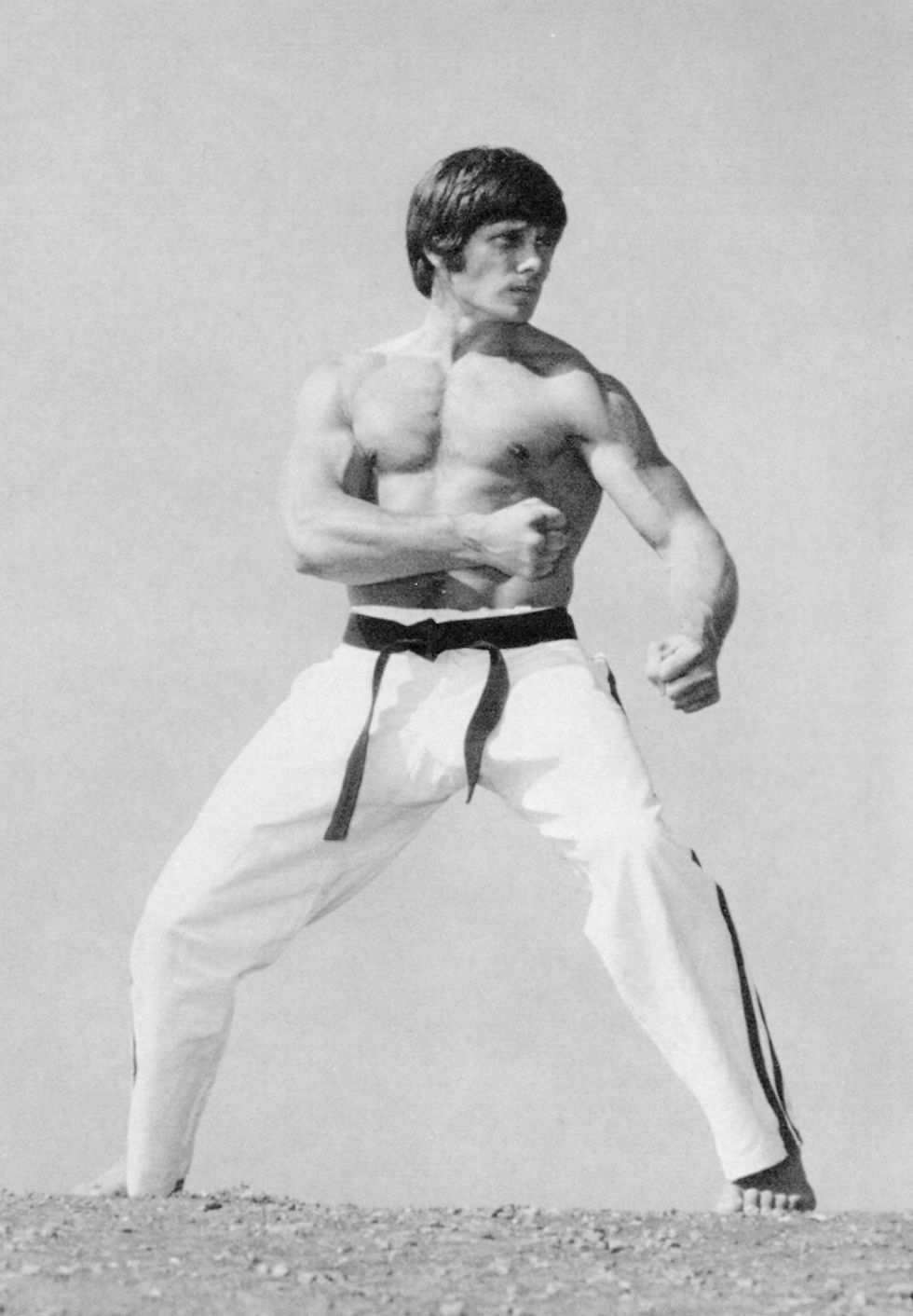 joe lewis