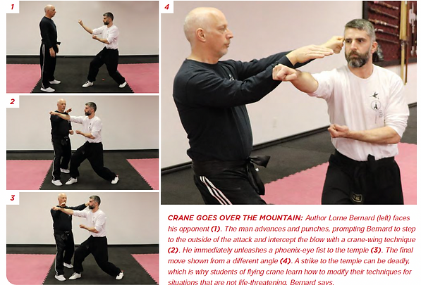 White-Crane Kung Fu