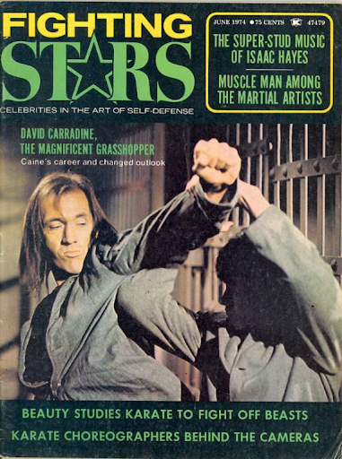 fighting stars last issue cover