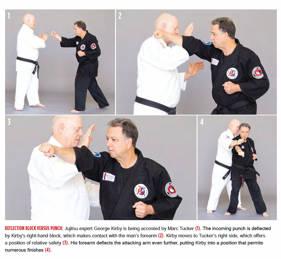 Budoshin Jujitsu Blocking Techniques