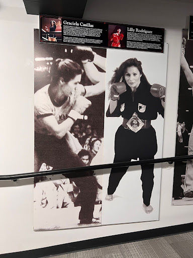 Martial Arts History Museum
