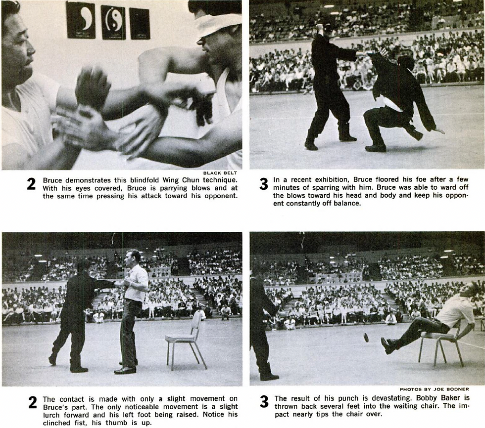 bruce lee 