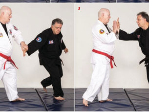 Gentle Spirit of Jiu Jitsu: The Origin and Benefits of Ju-Shin Practice