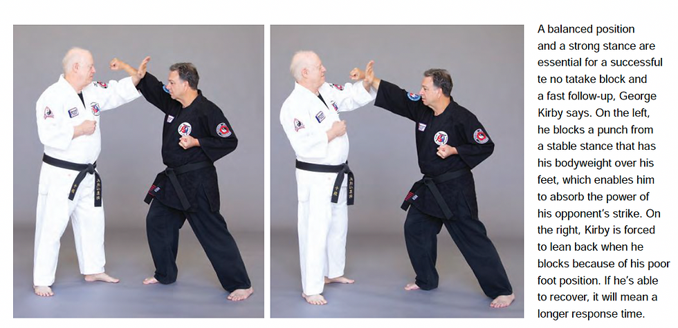Budoshin Jujitsu Blocking Techniques