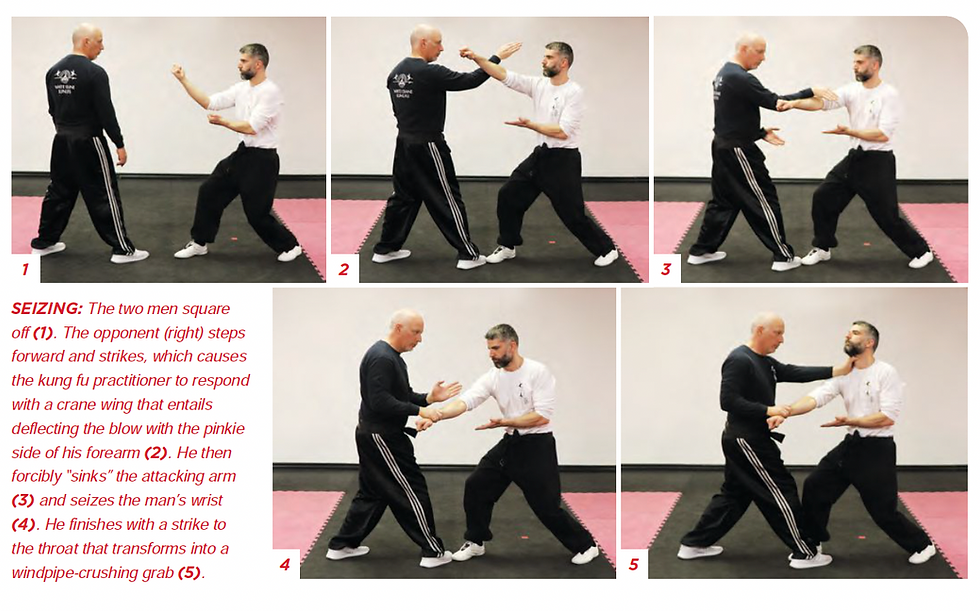 White-Crane Kung Fu