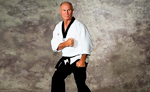 the gi