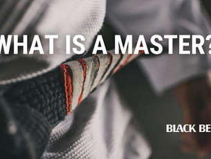 What is a Master? 13 of the Most Acclaimed Black Belts Answer!