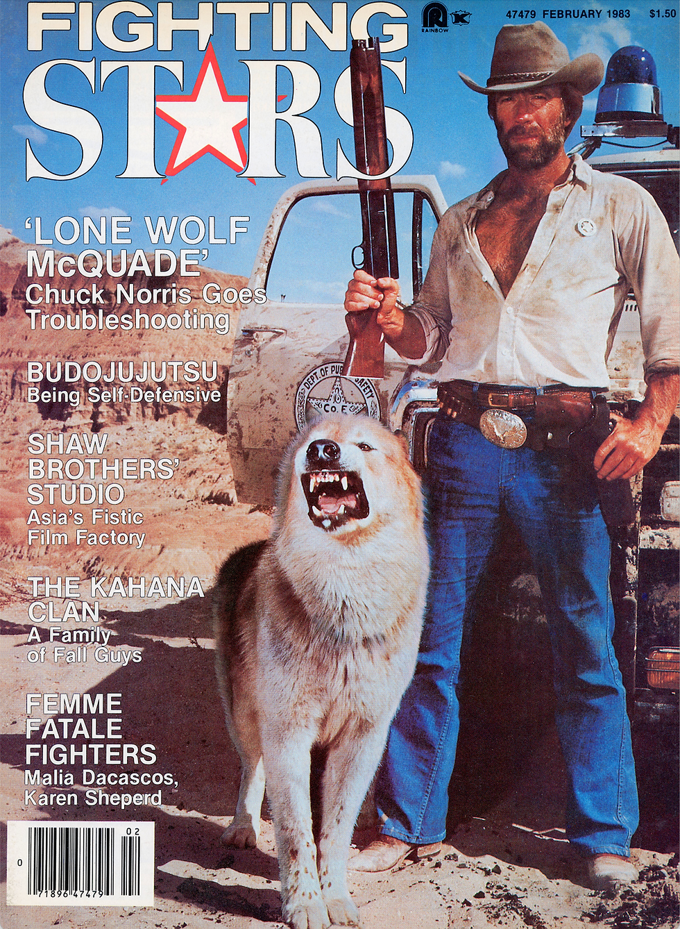 Chuck Norris Fighting Stars