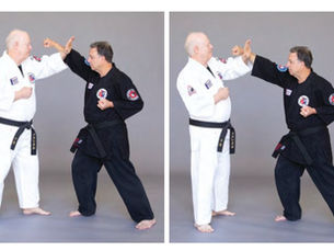 Building Blocks: Budoshin Jujitsu’s Classification of Blocking Techniques Epitomizes Simplicity
