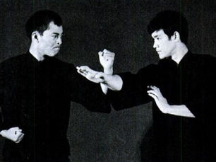 Living Legacy: The Ever-Changing World of Jeet Kune Do Instruction