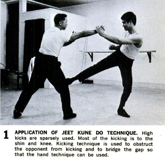 bruce lee jeet kune do