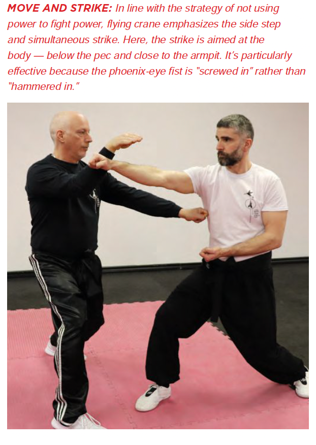 White-Crane Kung Fu
