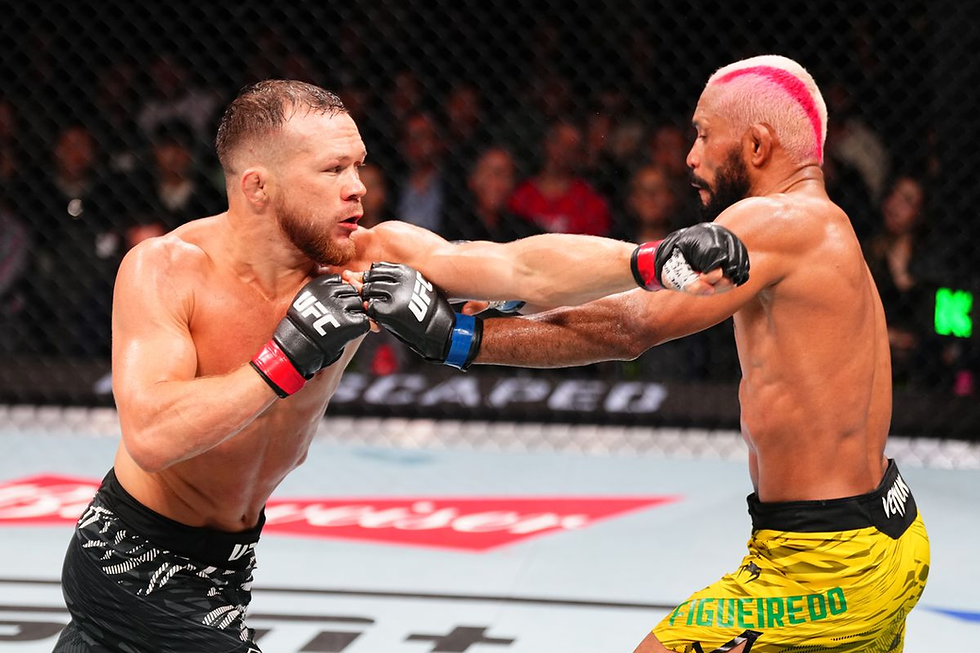 UFC Fight Night: Yan vs Figueirdo