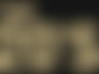 Hall of Fame 20-2029 Member Profiles