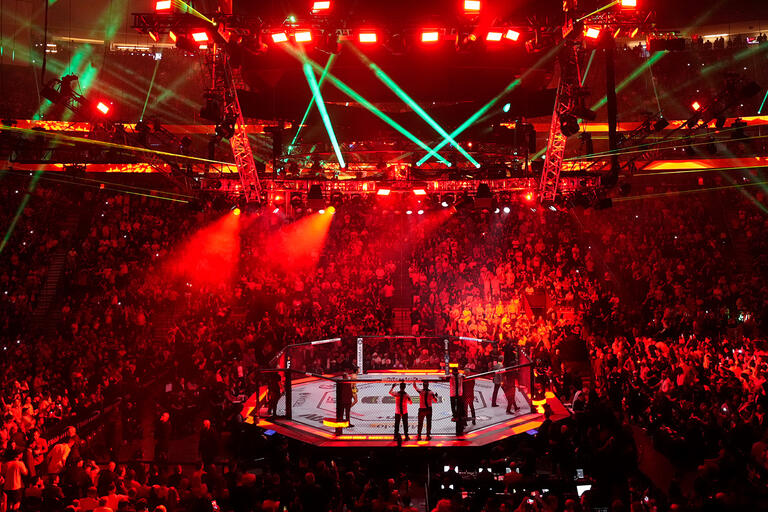 UFC Arena