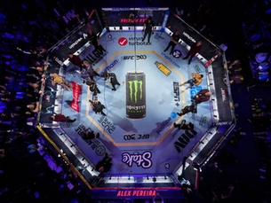 10 UFC Fights to Look Forward to in January 2025