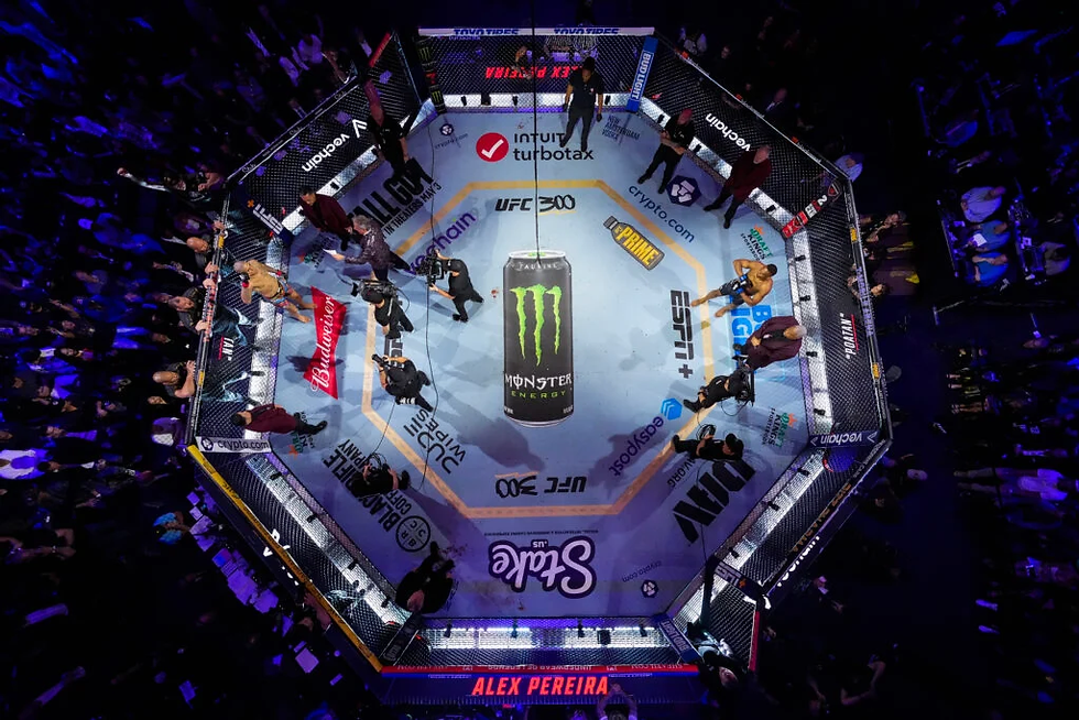 UFC Octagon