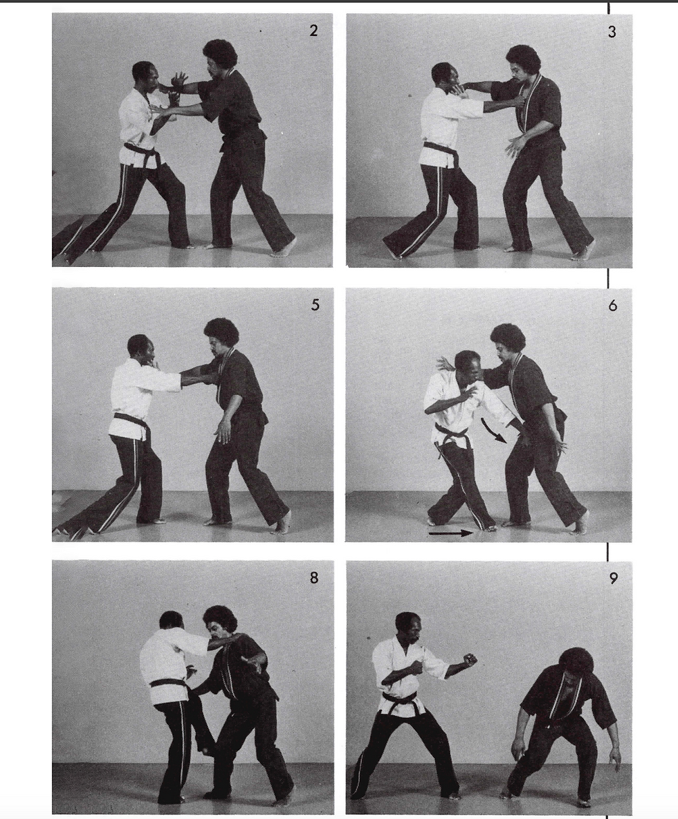 two men show martial arts techniques