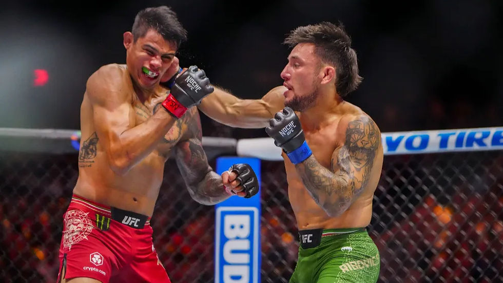 esteban ribovics vs. daniel zellhuber