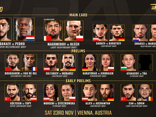 Austria Gets Ready for BRAVE CF 90! Undefeated Stars, International Showdowns, and Fury's Sparring Partner Highlight Historic Vienna Event!