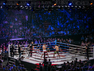 Training to be in MMA (as a Fan): Five Tips