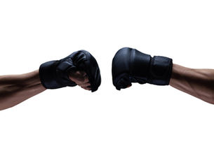 MMA Opinion: What is the Perfect Fight?