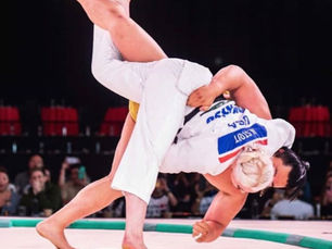 Judo Blog: Judo Meets Japanese Culture in the USA