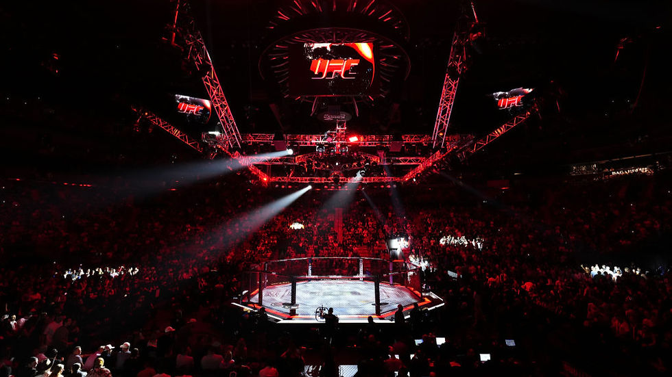 UFC Octagon