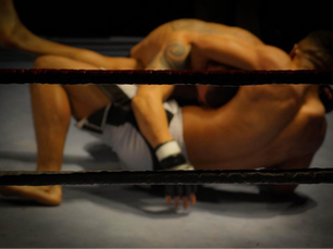 Top Online Platforms for Betting on Martial Arts