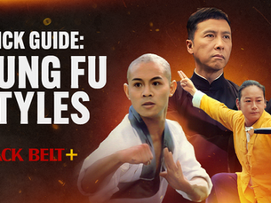 Kung Fu Styles Quick Guide