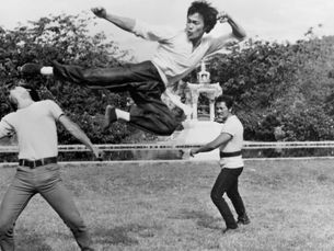 Embracing Bruce Lee's Wisdom: Learning from All Disciplines
