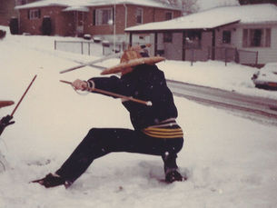 Martial Art Training Partners: Manimal, Macroweather and Man Part 2: Macroweather