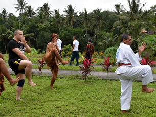Silat: Indonesia and Malaysia's Deadly Martial Art