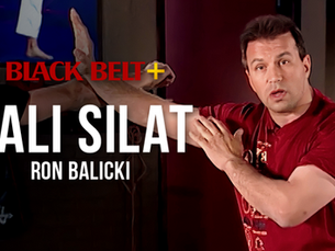 Are You Curious About Kali Silat? Here's an Intro Guide
