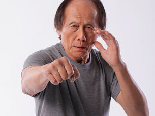 Leo Fong: Kung Fu Artist of the Year (2006)