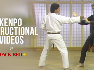 What Makes American Kenpo So Effective?