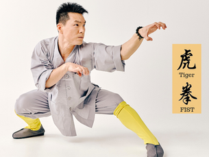 The 5 Kung Fu Animal Styles of the Chinese Martial Arts